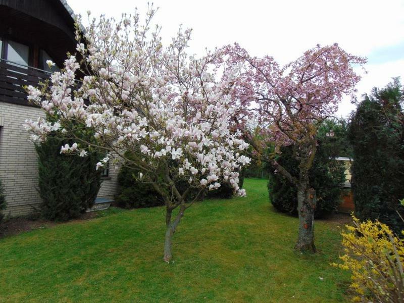 Ferienwohnung Holzberger Goslar Kültér fotó